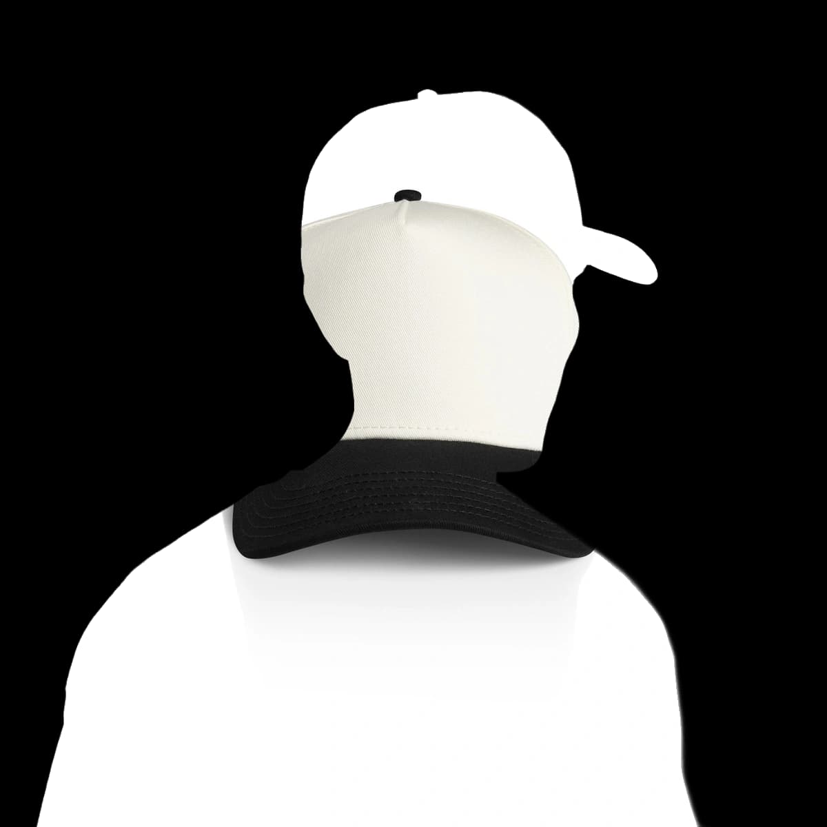Frame Two-Tone Cap | 1165