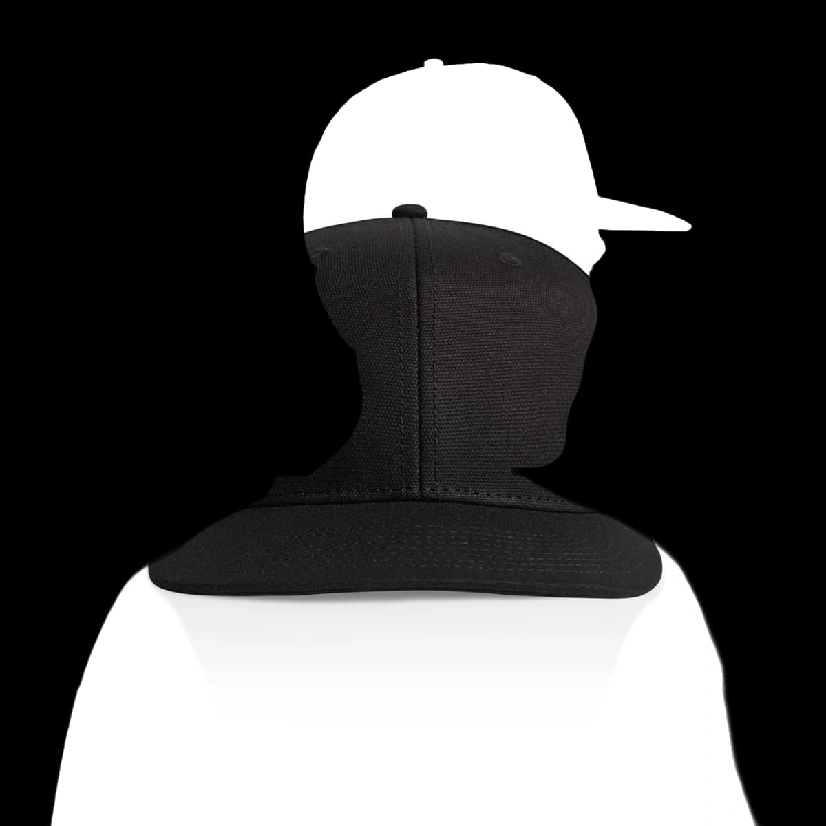 Stock Canvas Cap | 1173