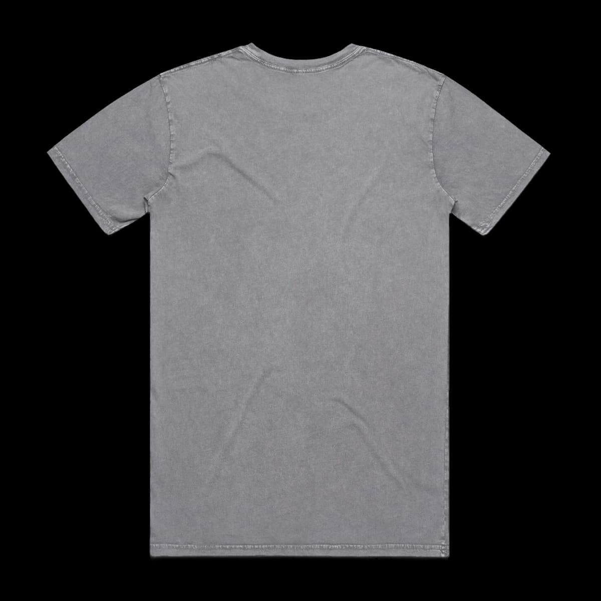 Staple Stone Wash Tee | 5040