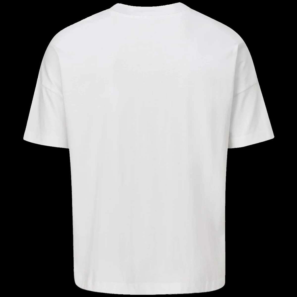 Mantis Unisex Oversized Heavy T-Shirt — back