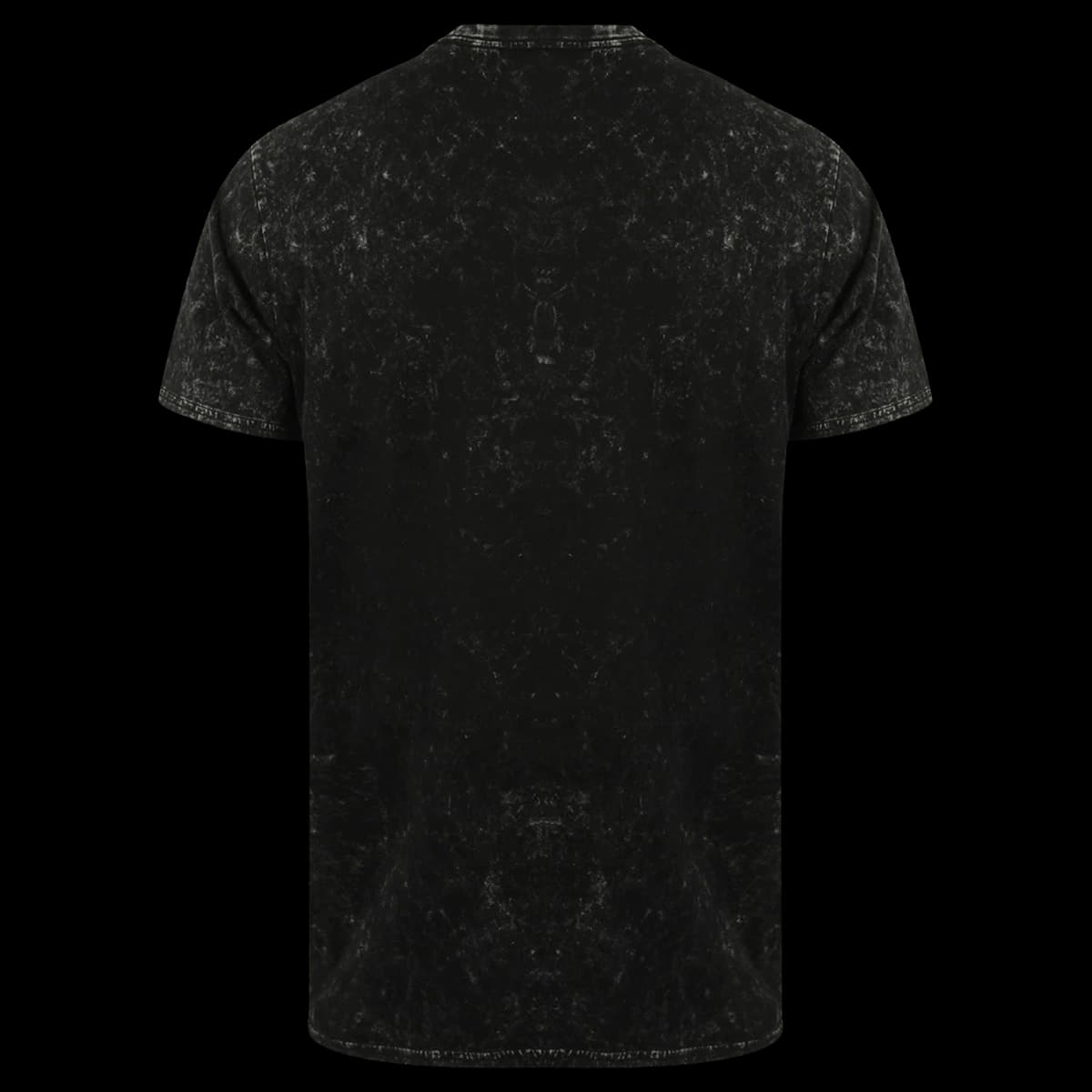 SF Clothing Unisex Washed Band T-Shirt — back