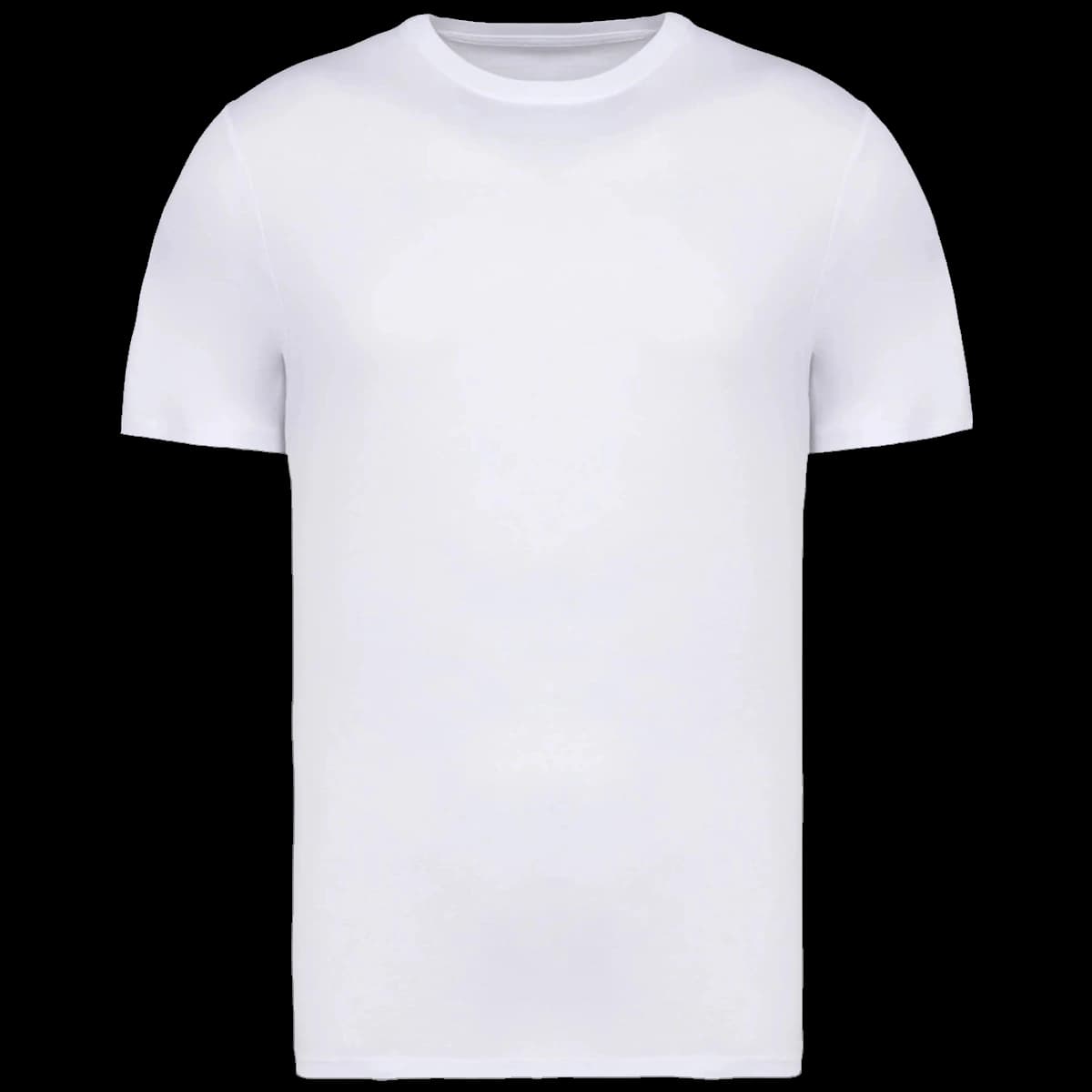 Native Spirit Unisex Heavyweight T-Shirt — front