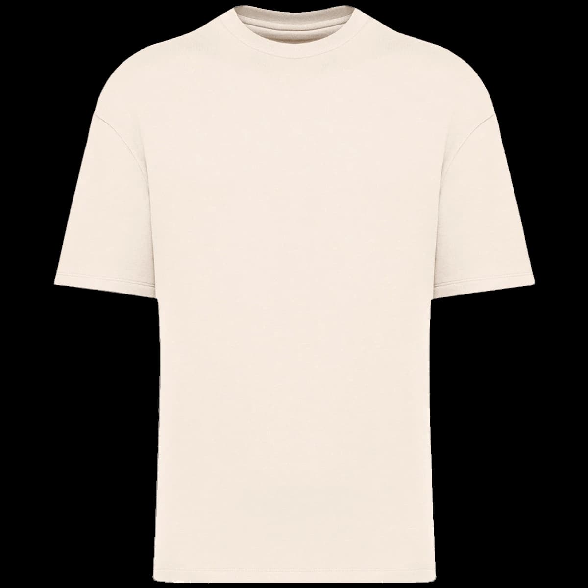 Native Spirit Unisex French Terry T-Shirt — front