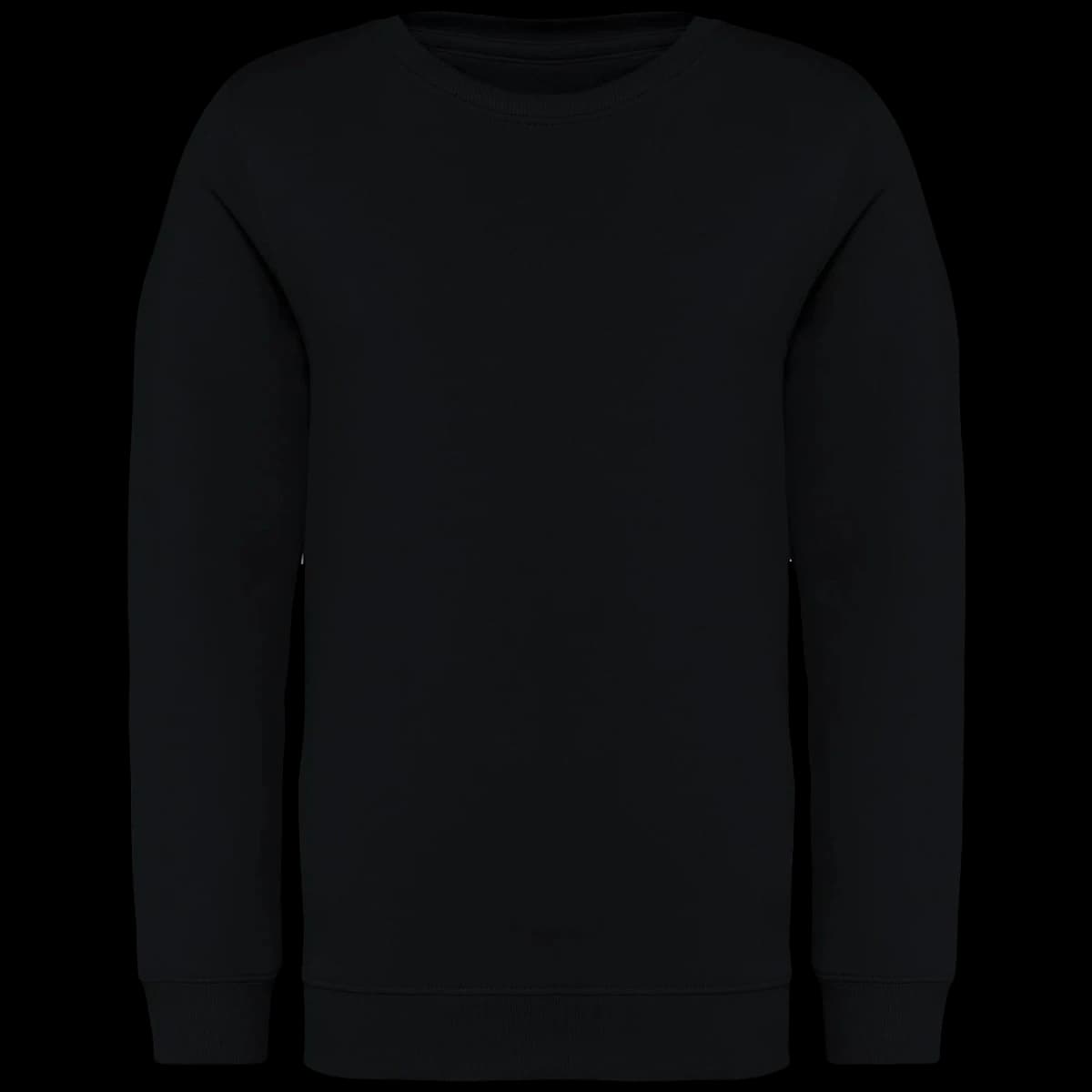 Native Spirit Kids Crew Neck Sweatshirt — front