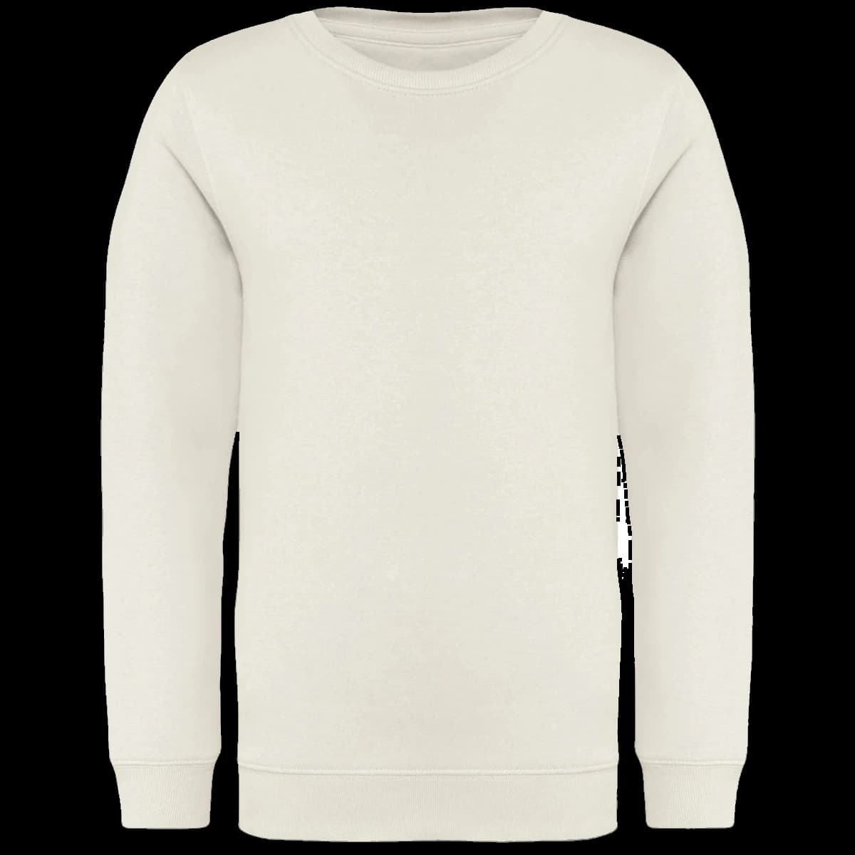 Native Spirit Kids Crew Neck Sweatshirt — front