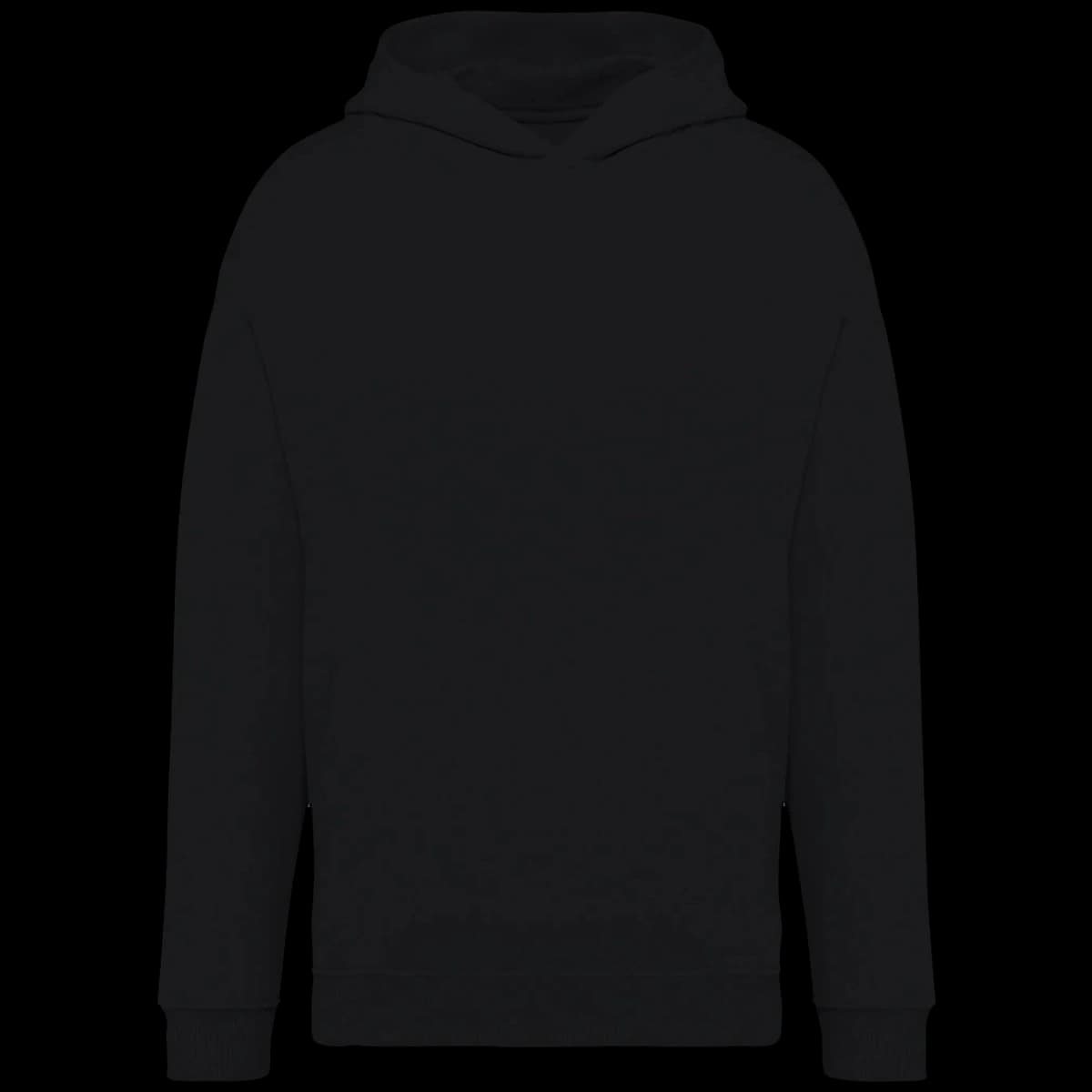 Native Spirit Unisex Oversized Hoodie — front