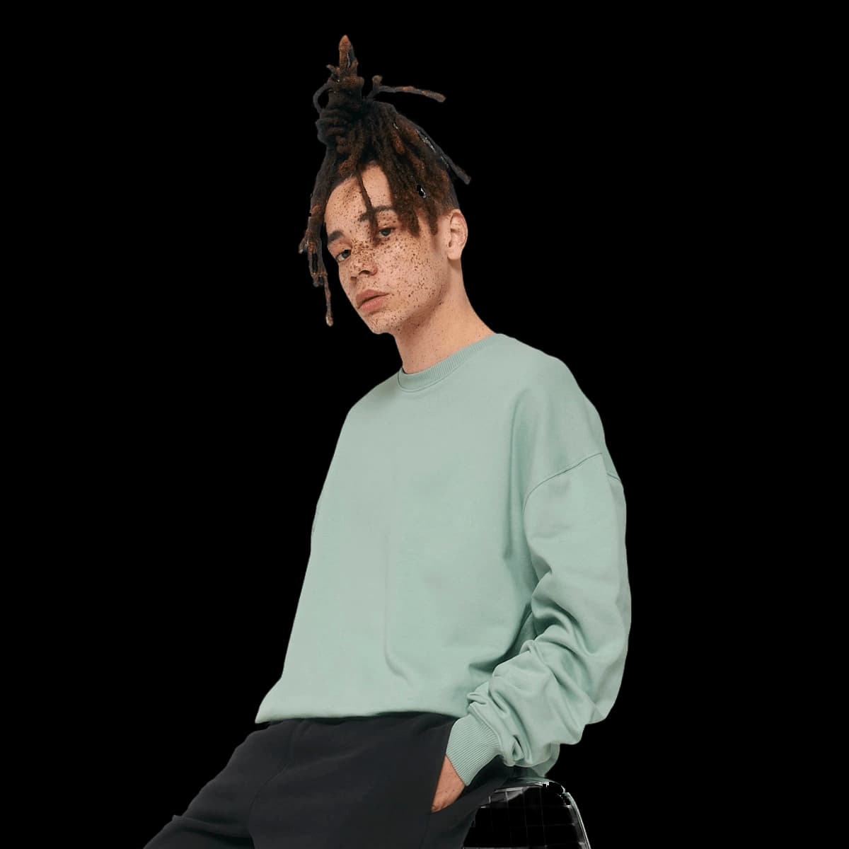 Unisex Ledger dry sweatshirt (STSU798)